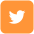 Twitter Icon